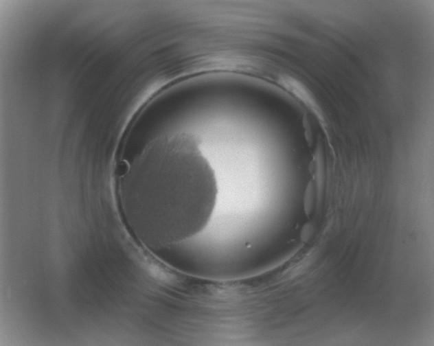 X0000062910899200601131423