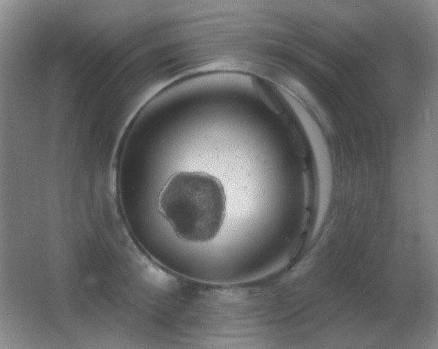 X0000062910900200601131423