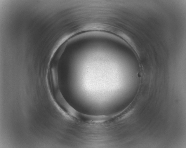 X0000062910901200601131423