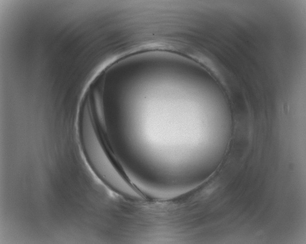 X0000062910902200601131423