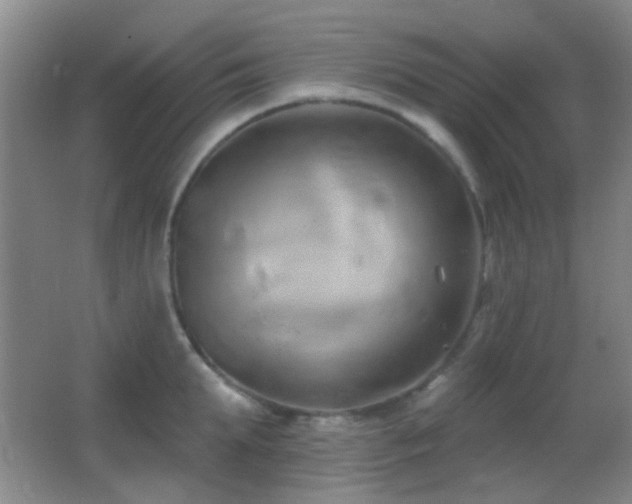 X0000062910903200601131423