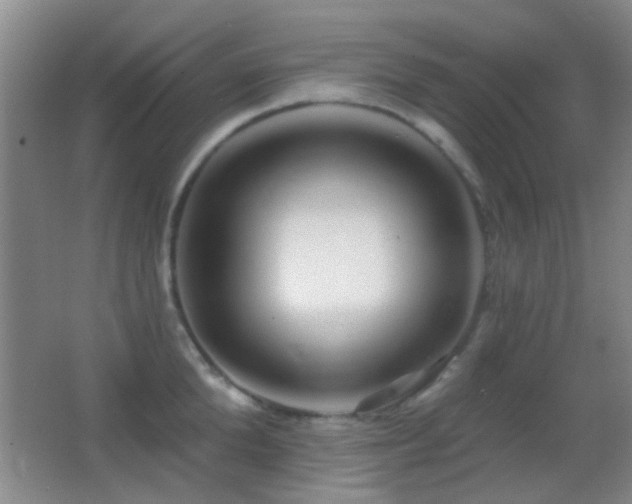 X0000062910904200601131423