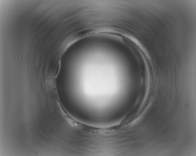 X0000062910905200601131423