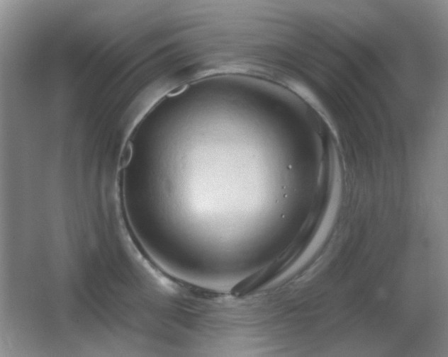 X0000062910906200601131423