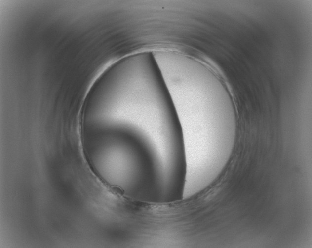 X0000062910907200601131423