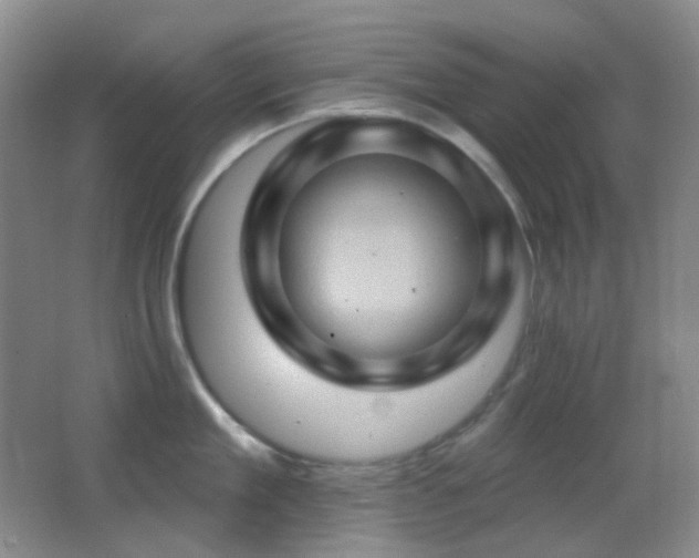 X0000062910909200601131423