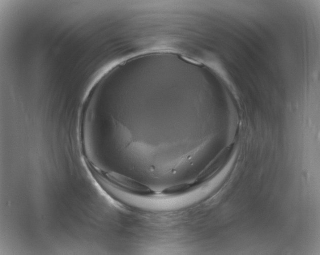 X0000062910910200601131423