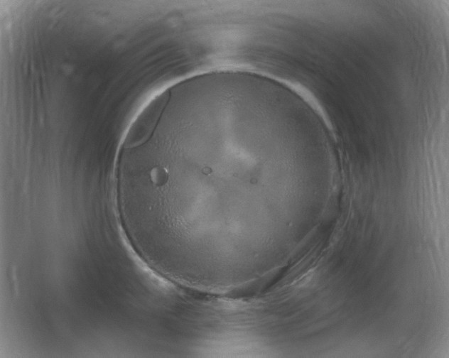 X0000062910911200601131423