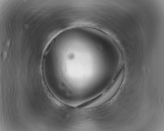 X0000062910912200601131423