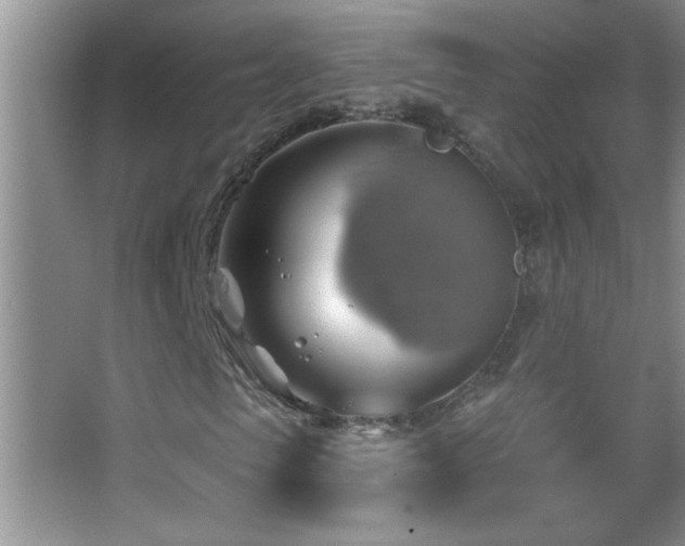 X0000062910913200601131422