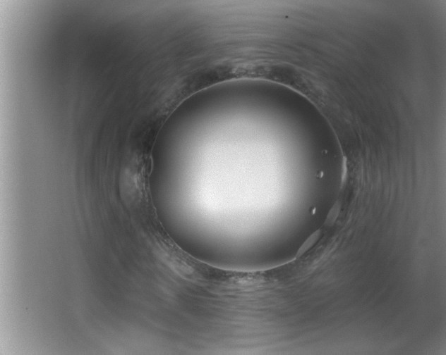 X0000062910914200601131422