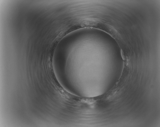 X0000062910915200601131422