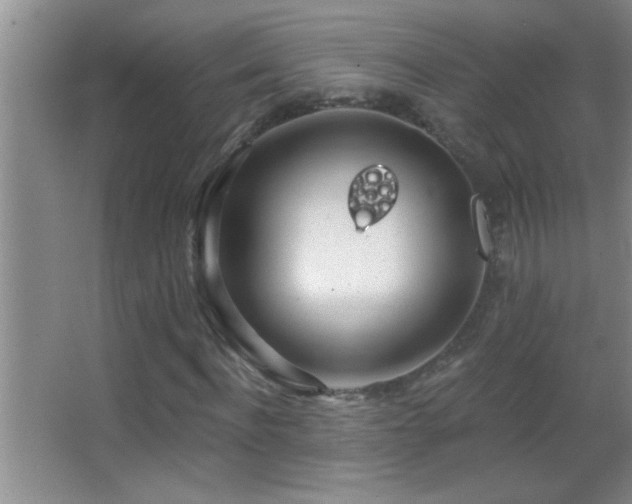 X0000062910916200601131422