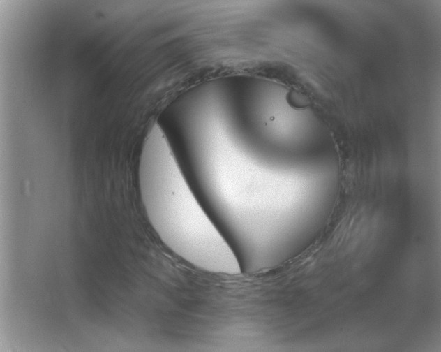 X0000062910917200601131422