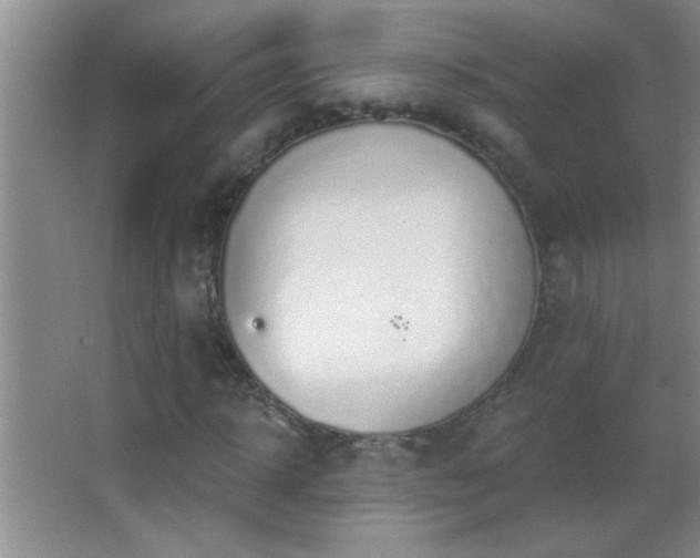 X0000062910918200601131422