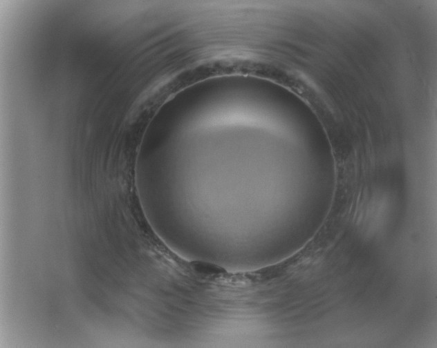 X0000062910919200601131422