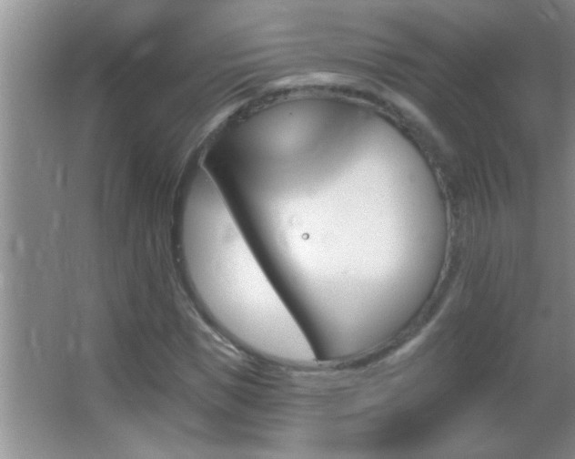 X0000062910921200601131422