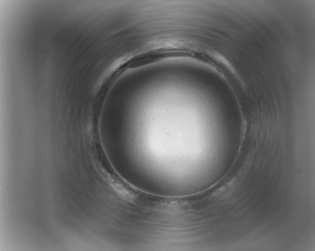 X0000062910922200601131422