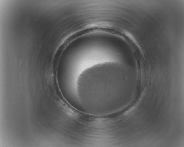 X0000062910923200601131422