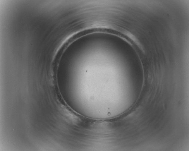 X0000062910926200601131422