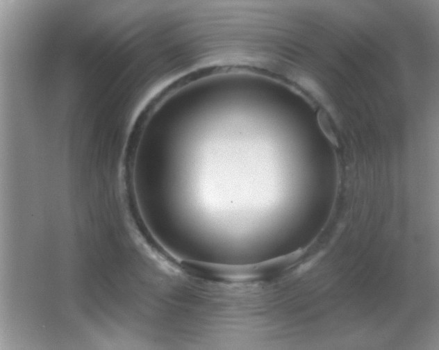 X0000062910928200601131422