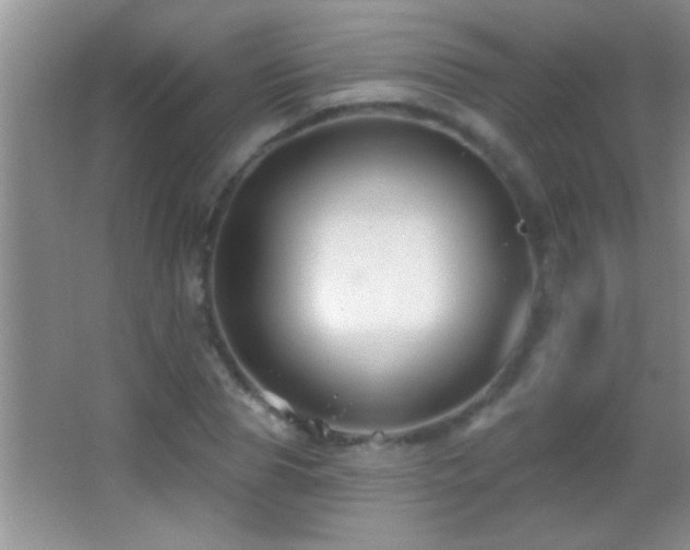 X0000062910929200601131422