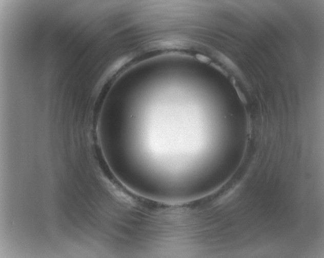 X0000062910930200601131422