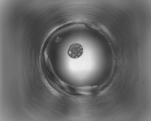 X0000062910932200601131422