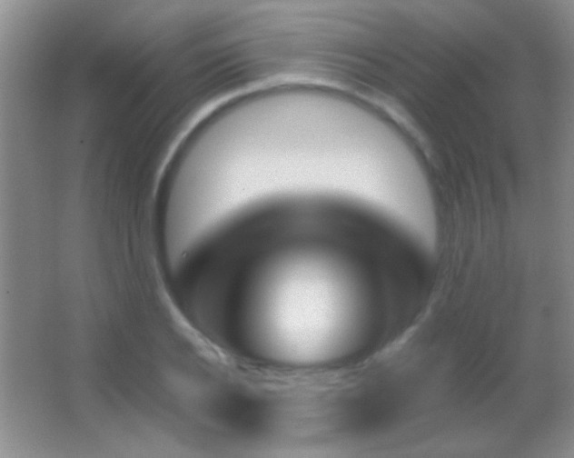 X0000062910934200601131422