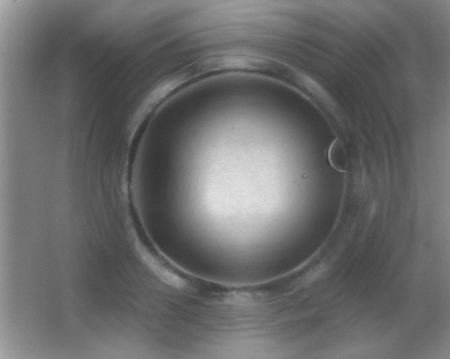 X0000062910938200601131422