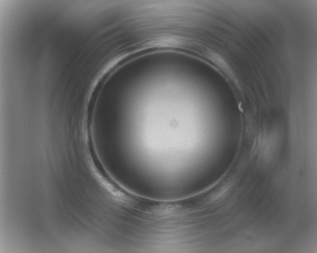 X0000062910939200601131422