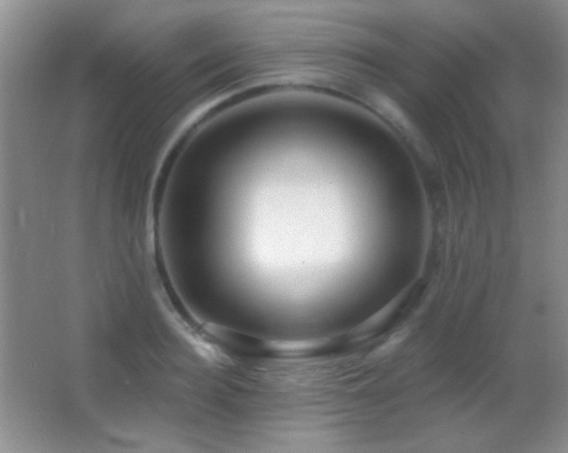 X0000062910940200601131422