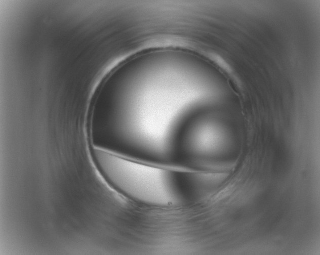 X0000062910943200601131422