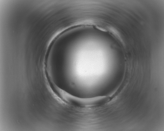 X0000062910944200601131422