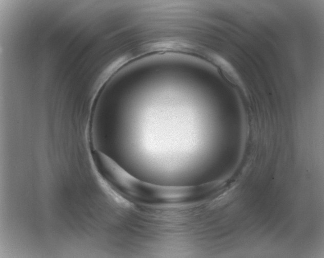 X0000062910946200601131422