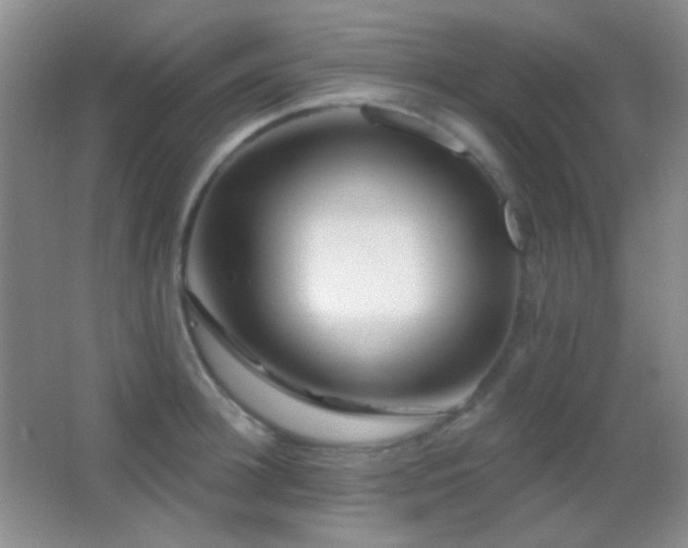 X0000062910948200601131422