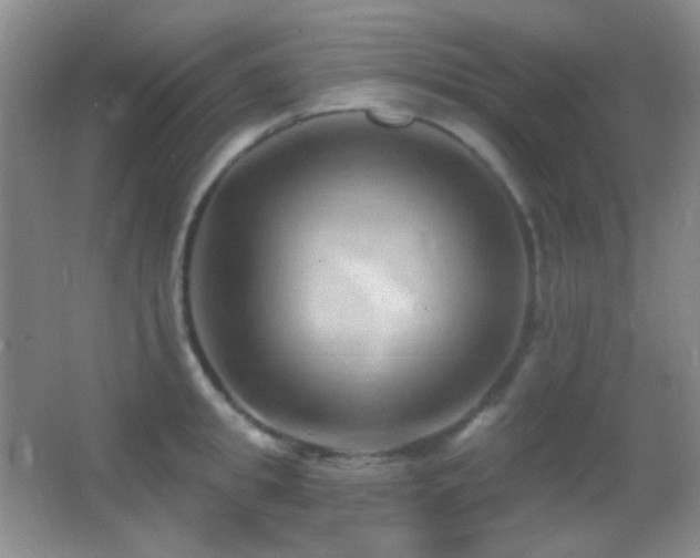 X0000062910949200601131423