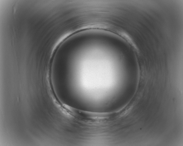 X0000062910952200601131423