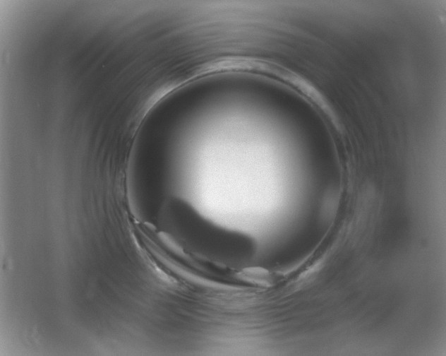 X0000062910953200601131423