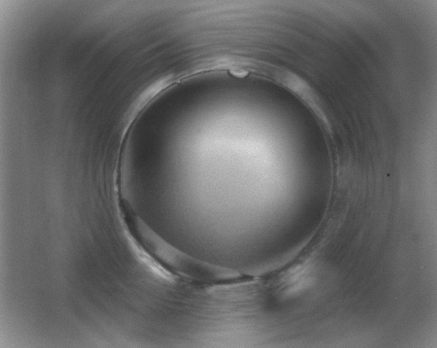 X0000062910954200601131423