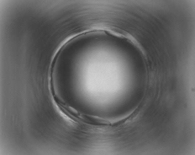 X0000062910955200601131423