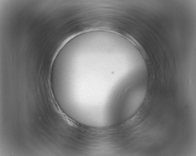 X0000062910956200601131423