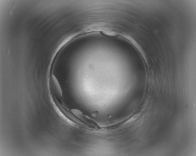 X0000062910957200601131423