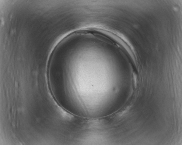 X0000062910959200601131423