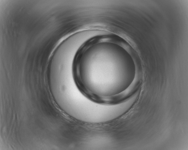 X0000062910960200601131423