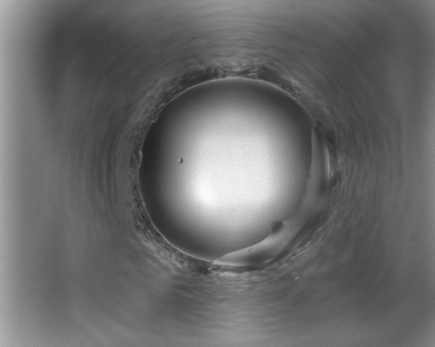 X0000062910961200601131422