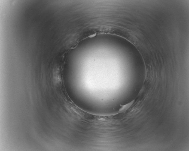 X0000062910962200601131422