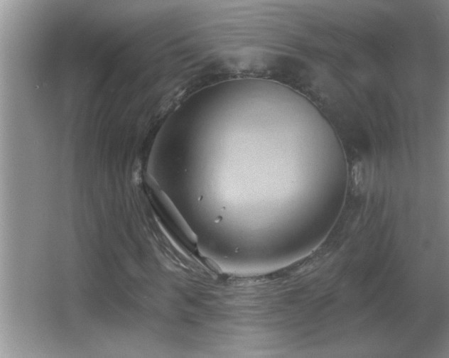 X0000062910963200601131422