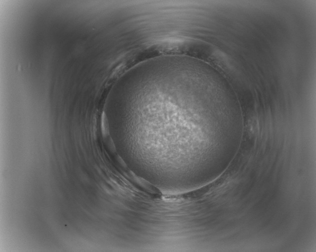 X0000062910964200601131422