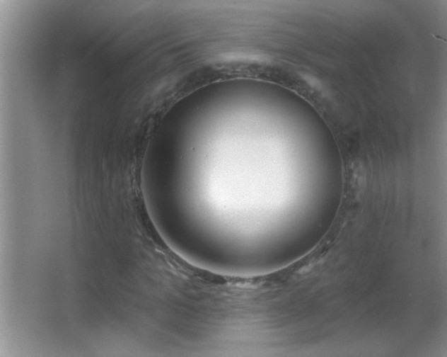 X0000062910965200601131422